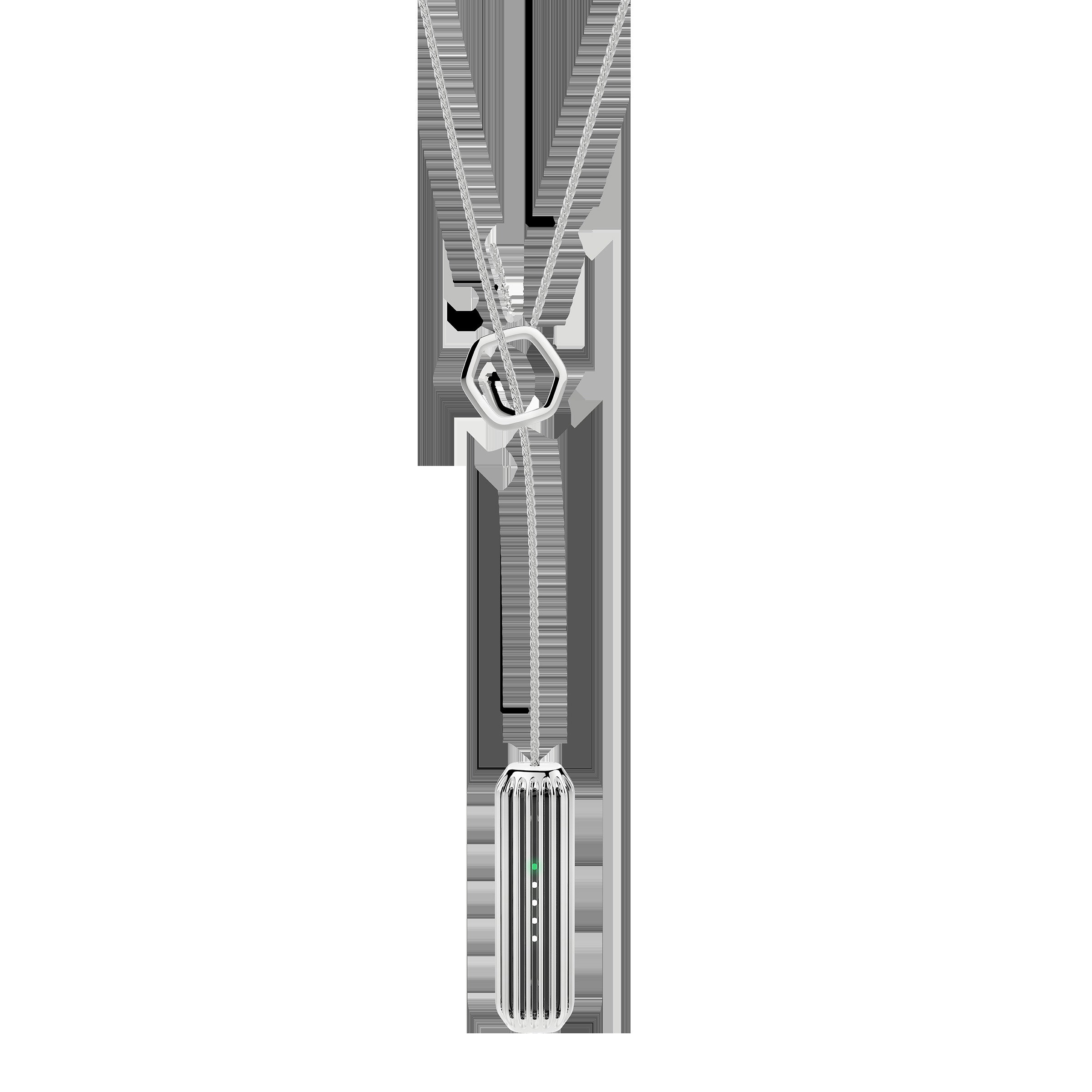 FITBIT FB161ALSR, Ersatz-/Wechselkette, Silber
