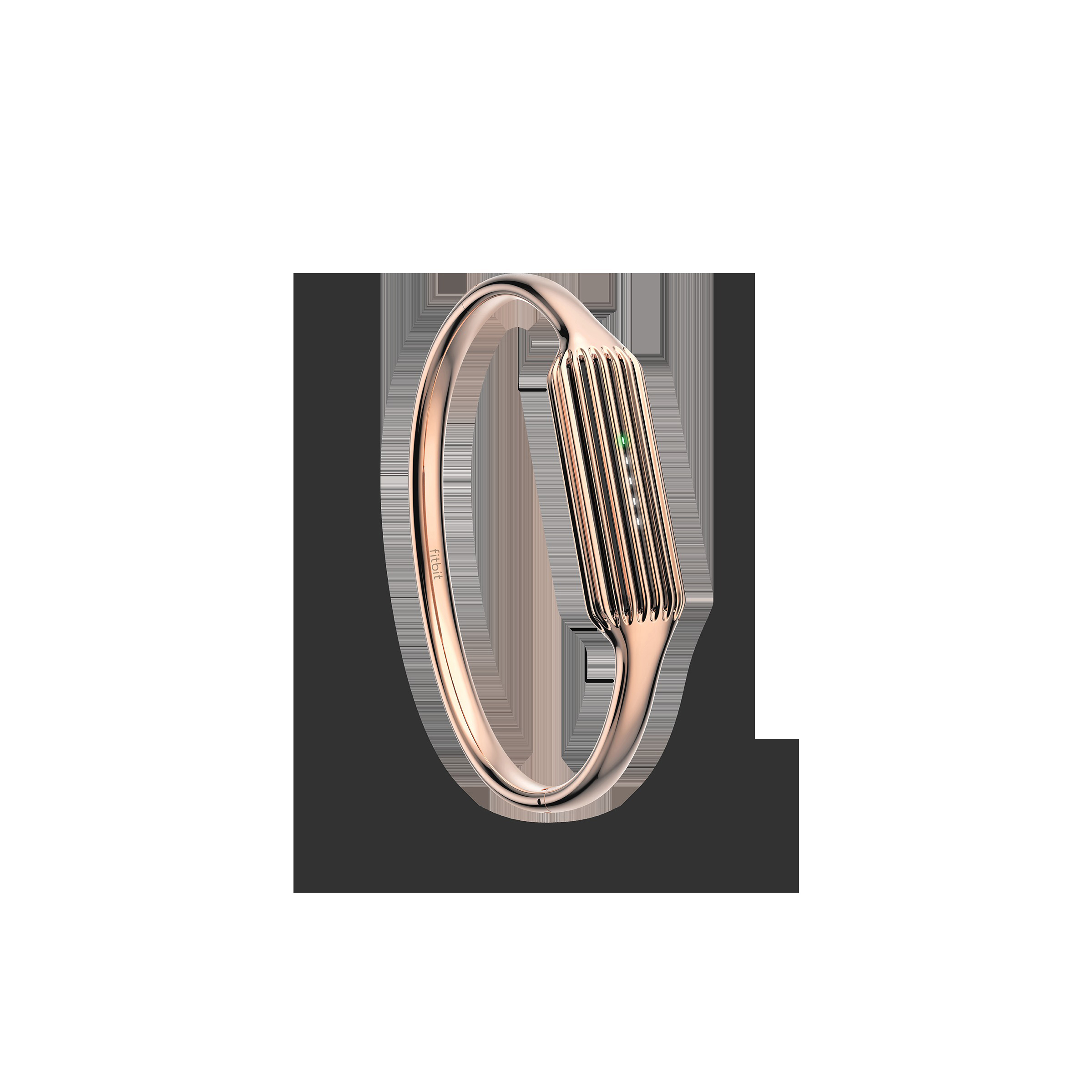 FITBIT FB161MBRGL, Ersatz-/Wechselarmreif, Roségold