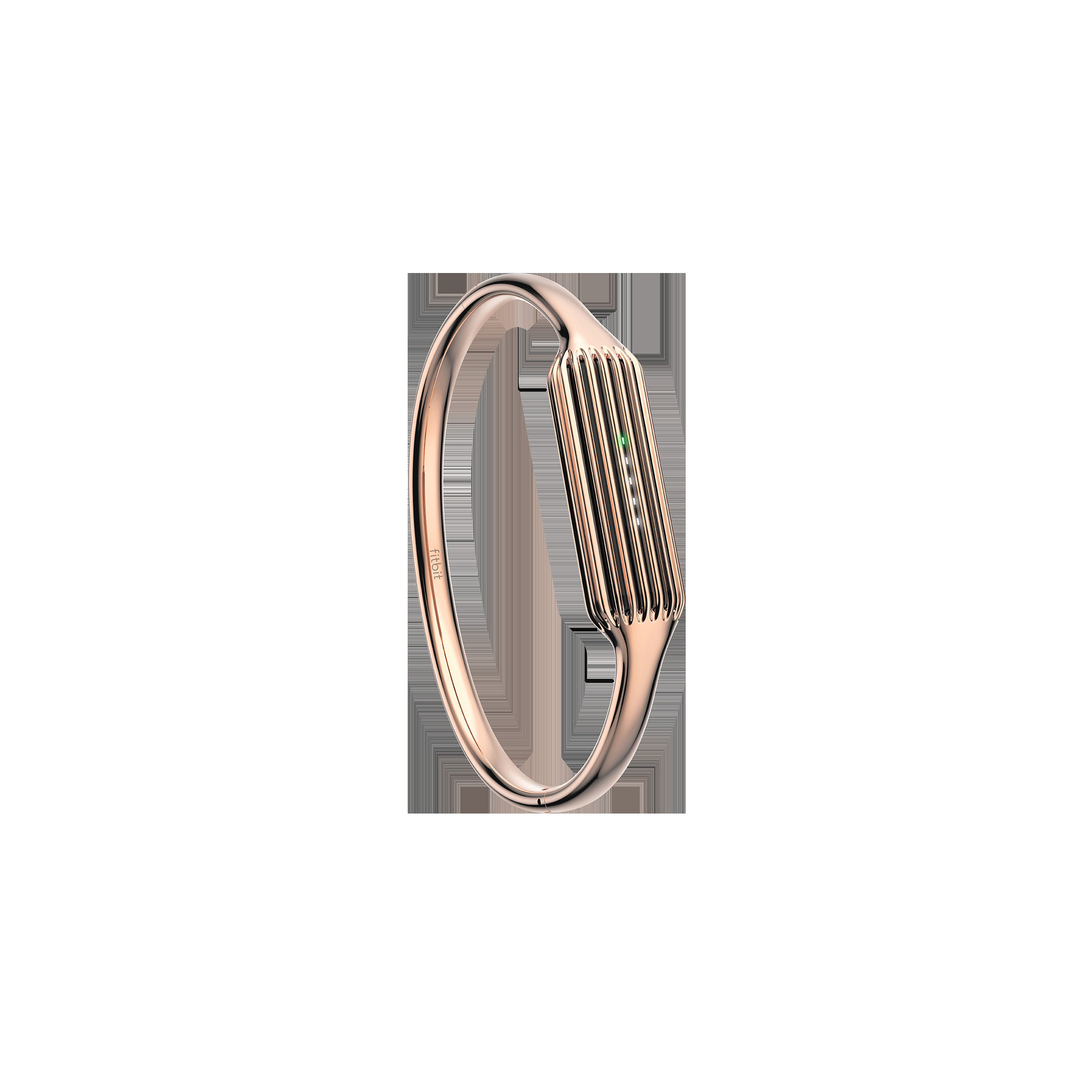 FITBIT FB161MBRGL, Ersatz-/Wechselarmreif, Roségold