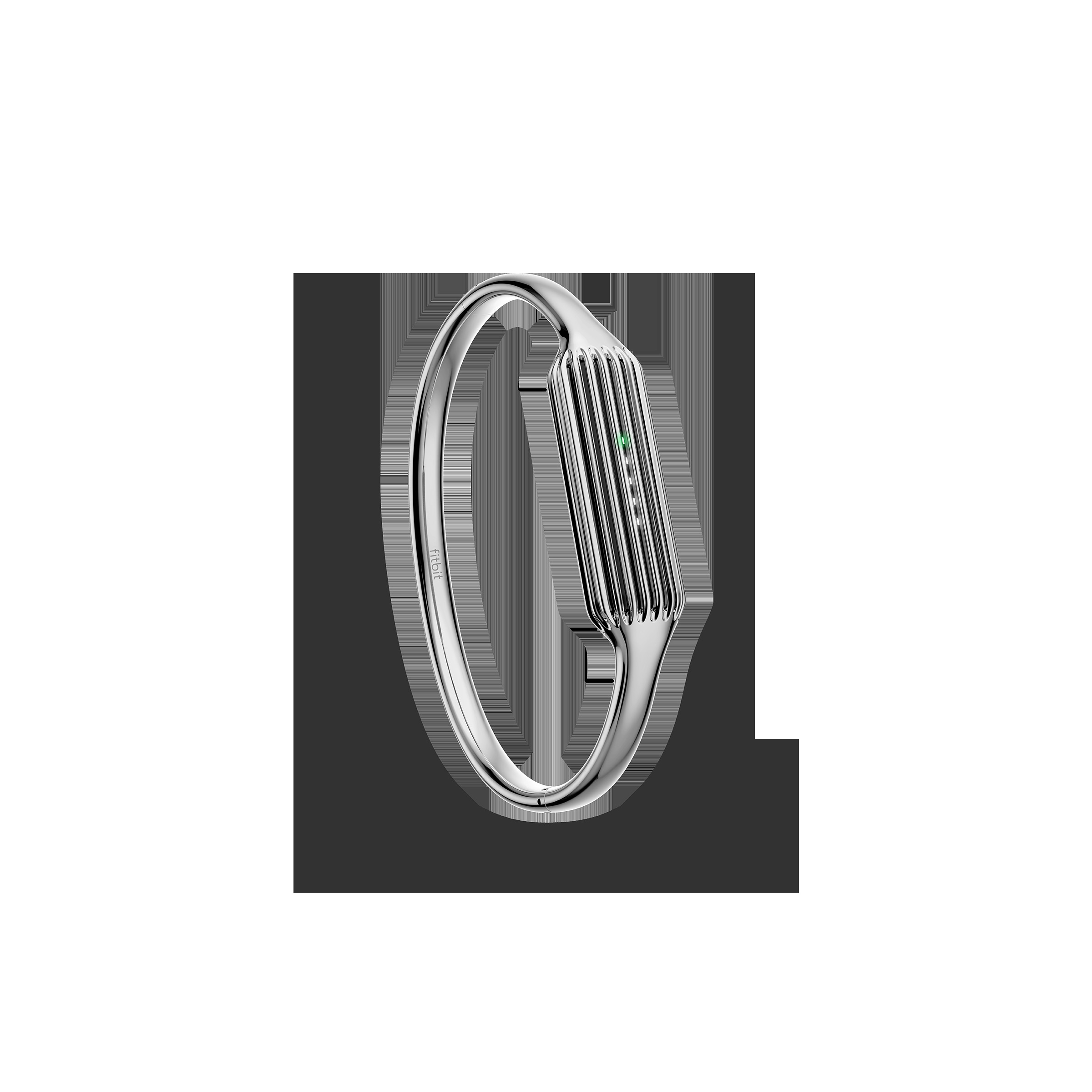 FITBIT FB161MBSRS, Ersatz-/Wechselarmreif, Silber