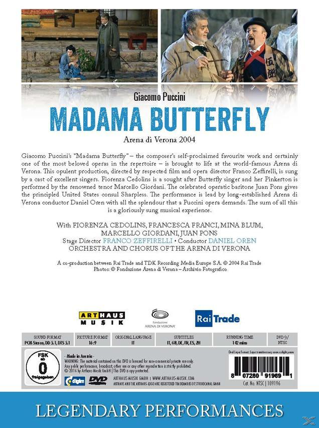 VARIOUS, Orchestra And Chorus Of The Arena Di Verona - Madama Butterfly  - (DVD)