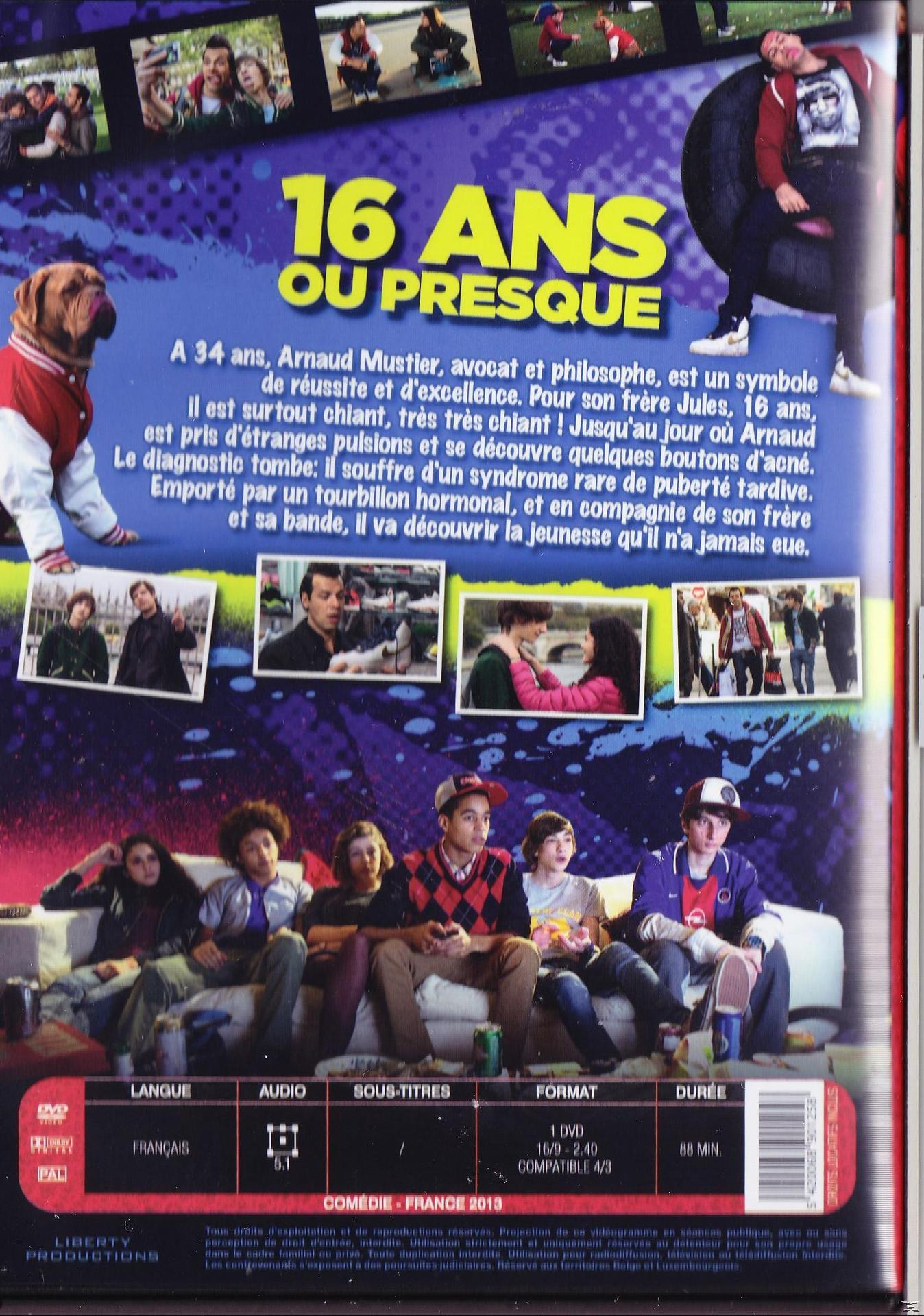Franse dvd-hoes, 16 ans ou presque. Groep tieners, bulldog en een stadsbeeld.