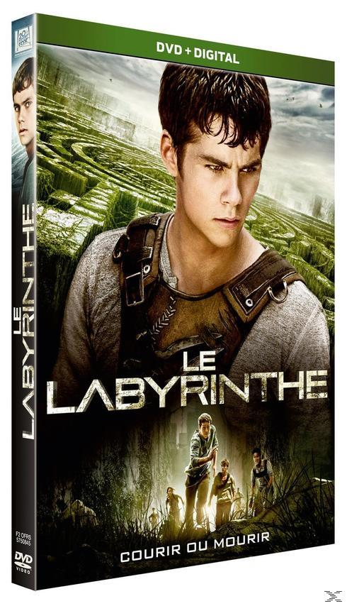 Jaquette du DVD Le Labyrinthe. Comprend un homme et une image de labyrinthe.