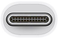 APPLE Thunderbolt 3 (USB-C) naar Thunderbolt 2-adapter