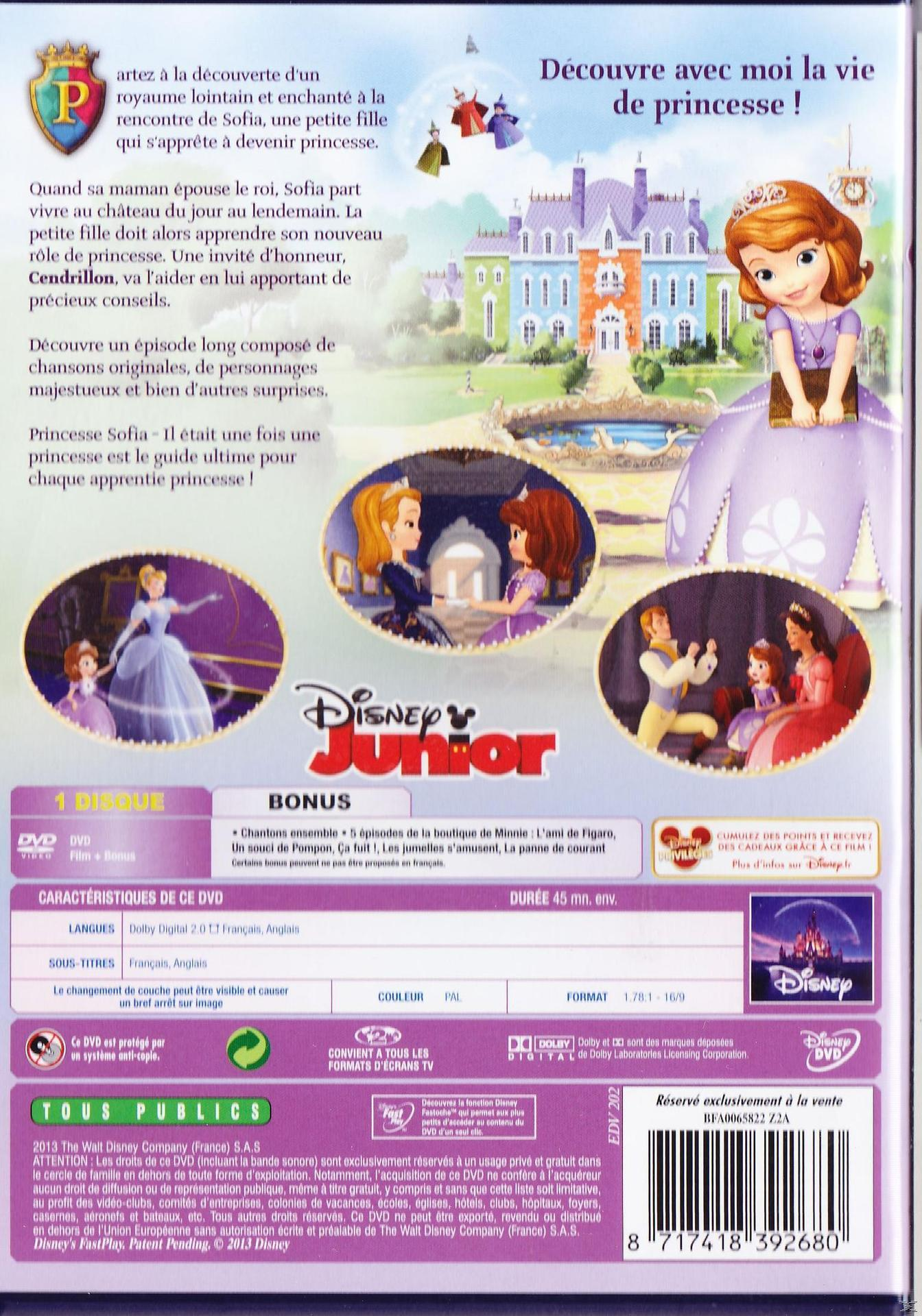 Disney Junior DVD cover with Princess Sofia. The cover features a castle, and cartoon characters.
