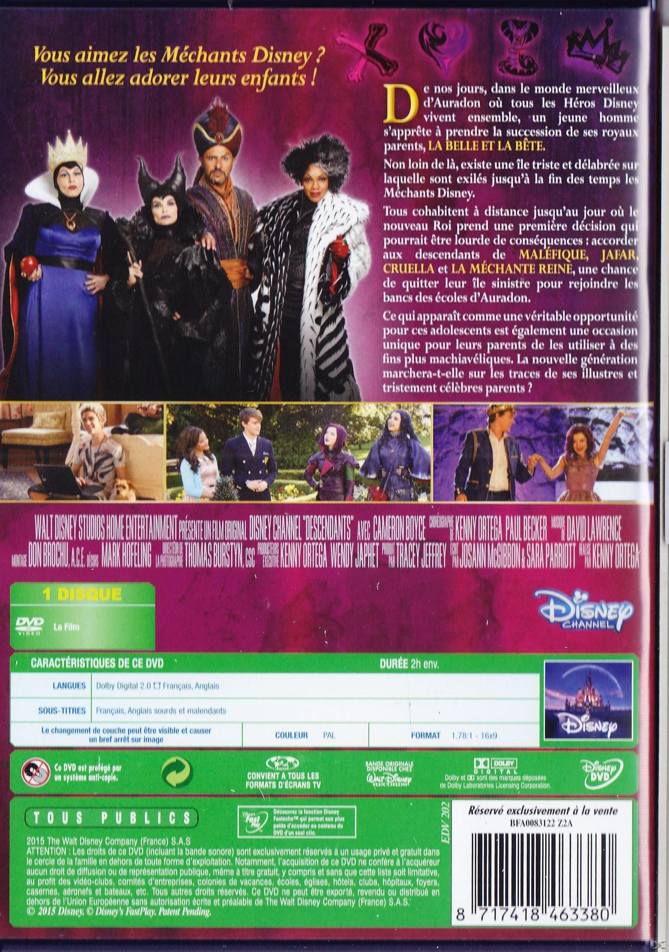 Pochette de DVD avec personnages Disney, texte français et logos. Groupe de personnages costumés au centre.