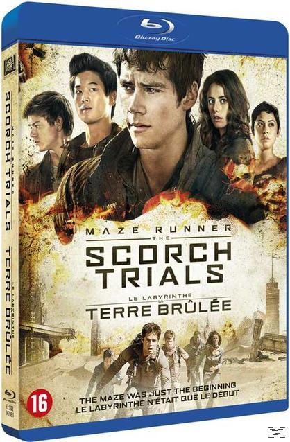 Le Labyrinthe: La Terre Brûlé - Blu-ray