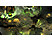 Torment: Tides of Numenéra Day One Edition PS4