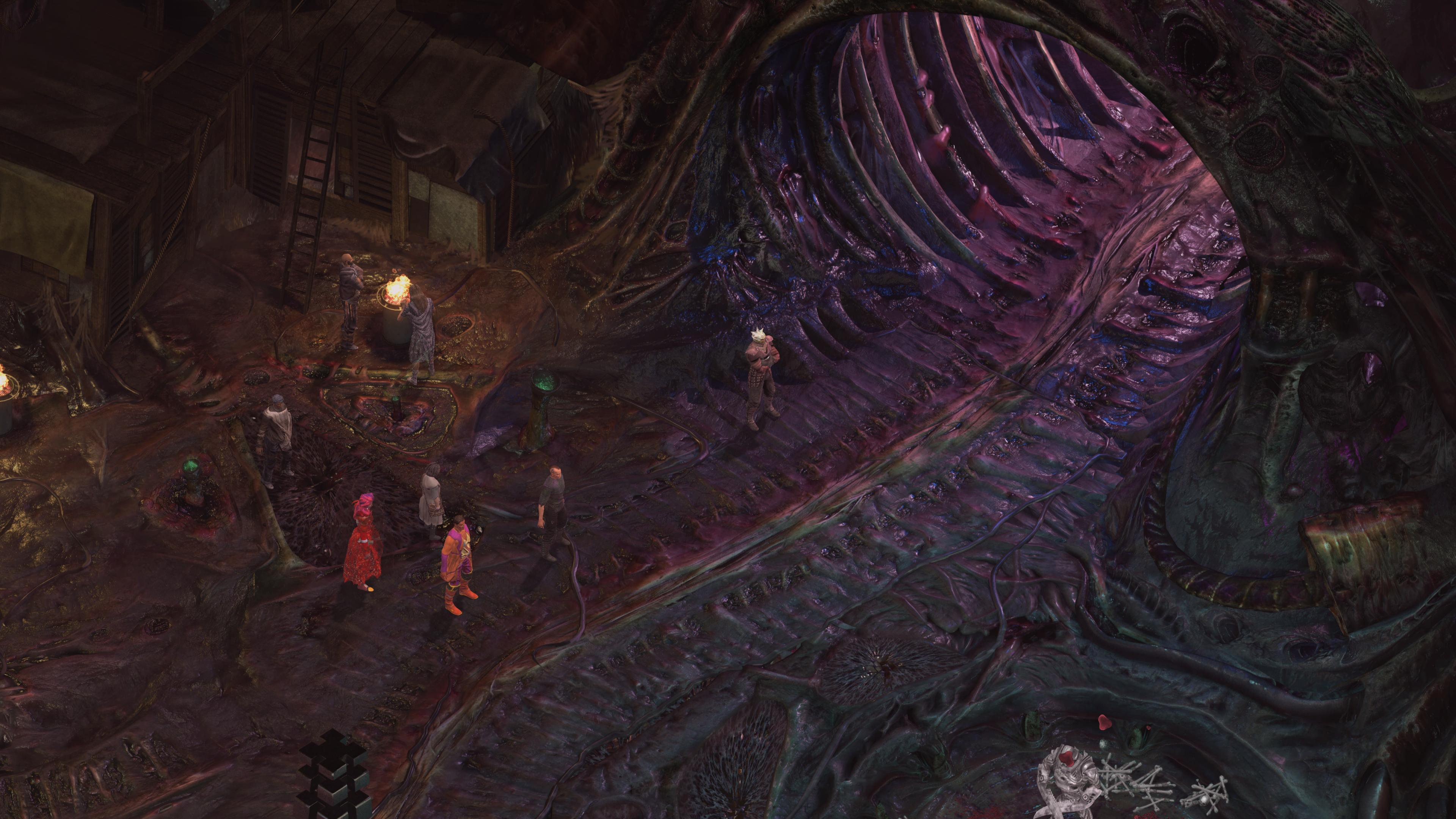 Torment: Tides of Numenéra Day One Edition PC