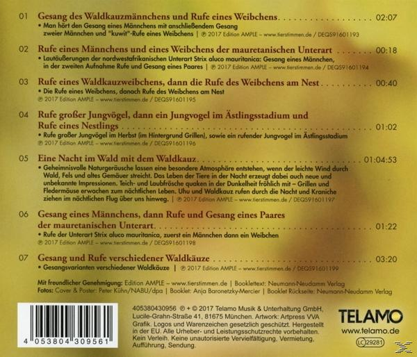 TELAMO Der Waldkauz - Vogel des Jahres 2017