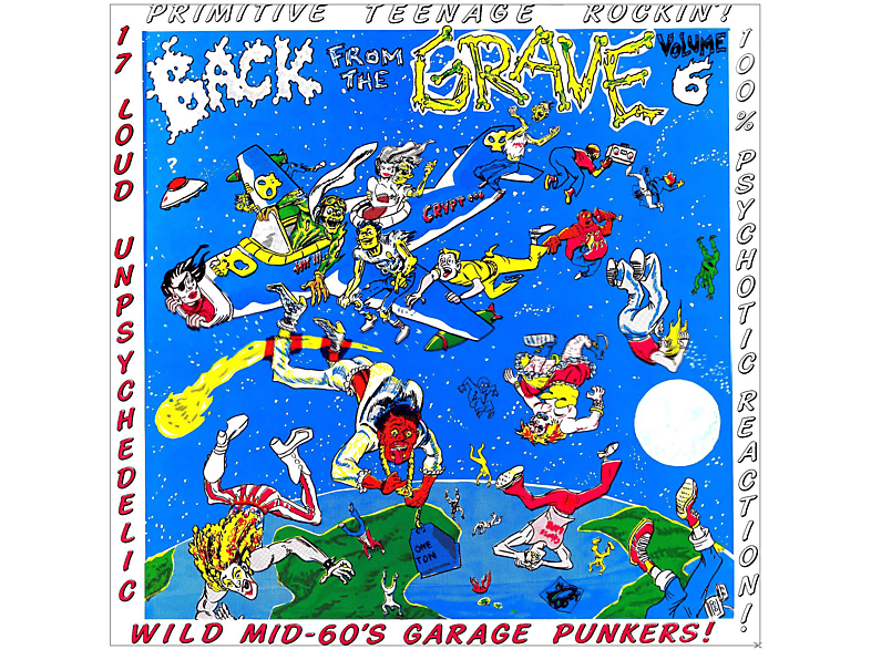 VARIOUS – Vol.6-Back From The Grave – (Vinyl)