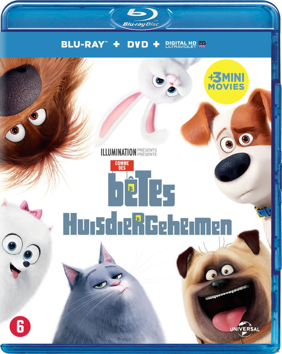Couverture Blu-ray/DVD de 'Comme des bêtes'. Comprend des animaux de dessins animés, fond bleu.