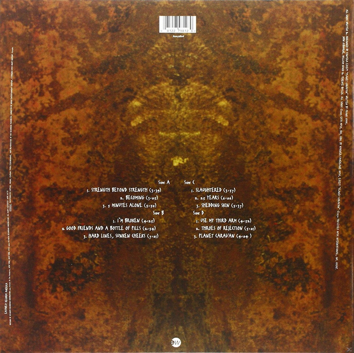 Ein Albumcover mit strukturiertem braunen Hintergrund. Die Titelliste der LP ist sichtbar.