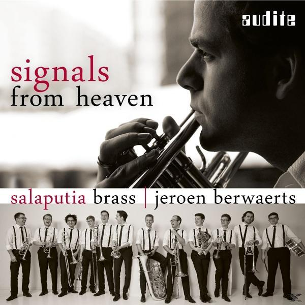 Salaputia Brass - Sounds Of Evolution  - (CD)