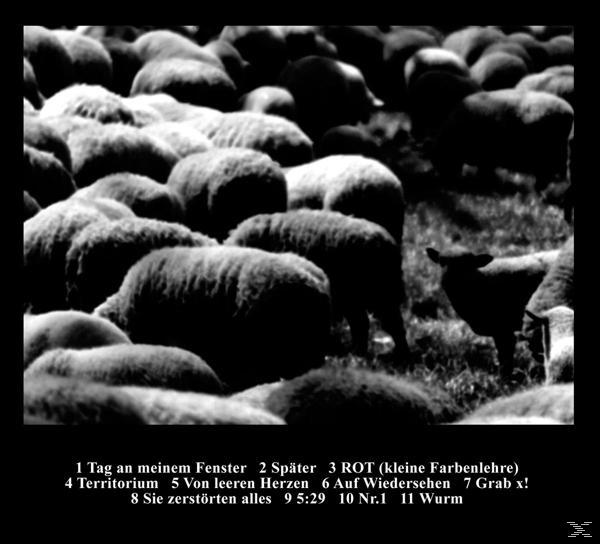 Schwarz-Weiß-Bild von Schafen auf einem Feld mit Text auf Deutsch.