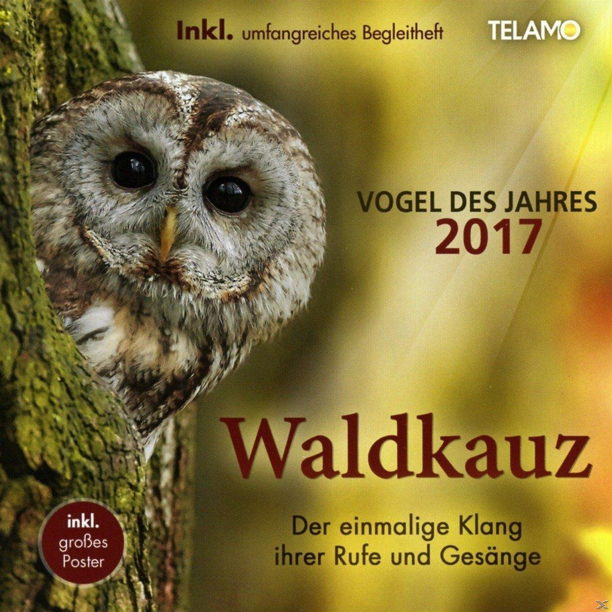 TELAMO Der Waldkauz - Vogel des Jahres 2017