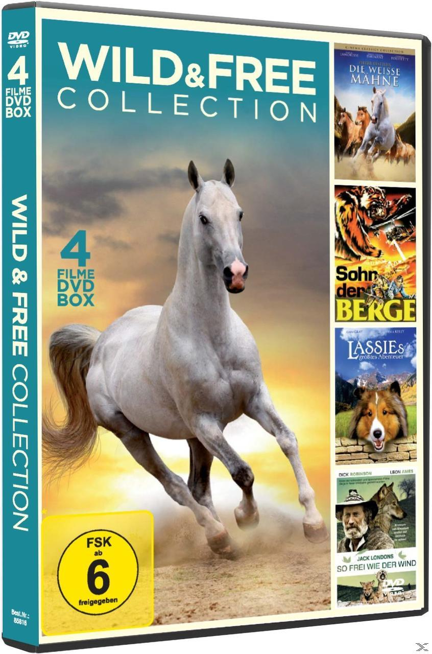 DVD-Box der Wild & Free Collection. Ein weißes Pferd rennt. Zusätzliche Filmcover werden gezeigt.