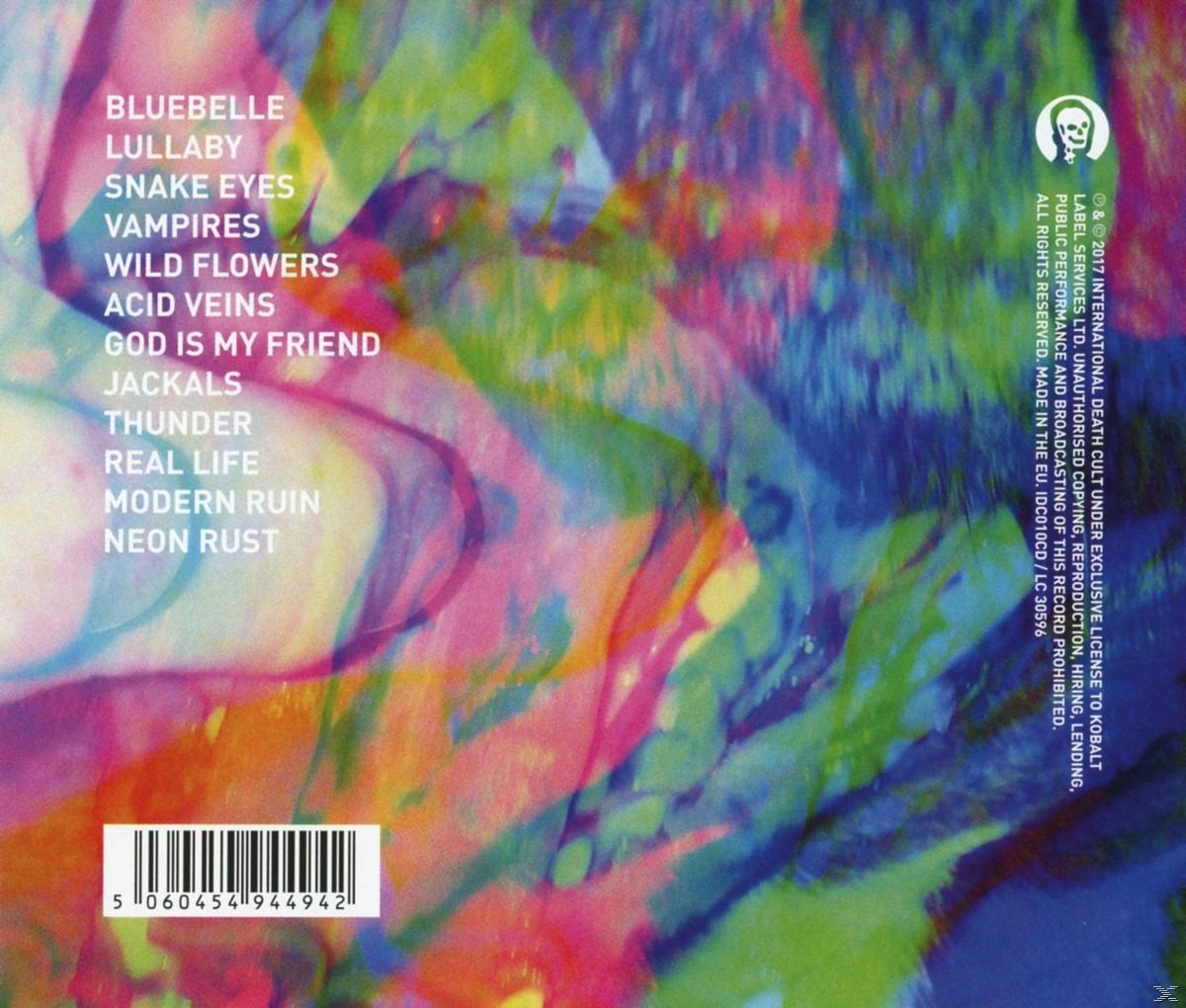 Frank & The Rattlesnakes - Modern - Ruin (CD) Carter