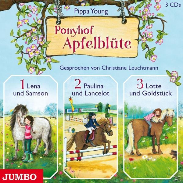 Pippa Young - Ponyhof Apfelblüte Box (1-3)  - (CD)