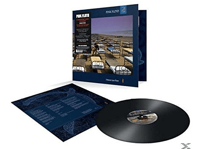 Thumbnail - Pink Floyd - A Momentary Lapse Of Reason(20 (Vinyl)