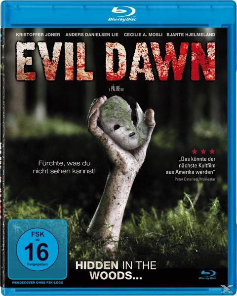 DVD-Cover: Aus Gras ragende Hand hält gesichtsförmiges Objekt. Waldhintergrund. Blaue Hülle.