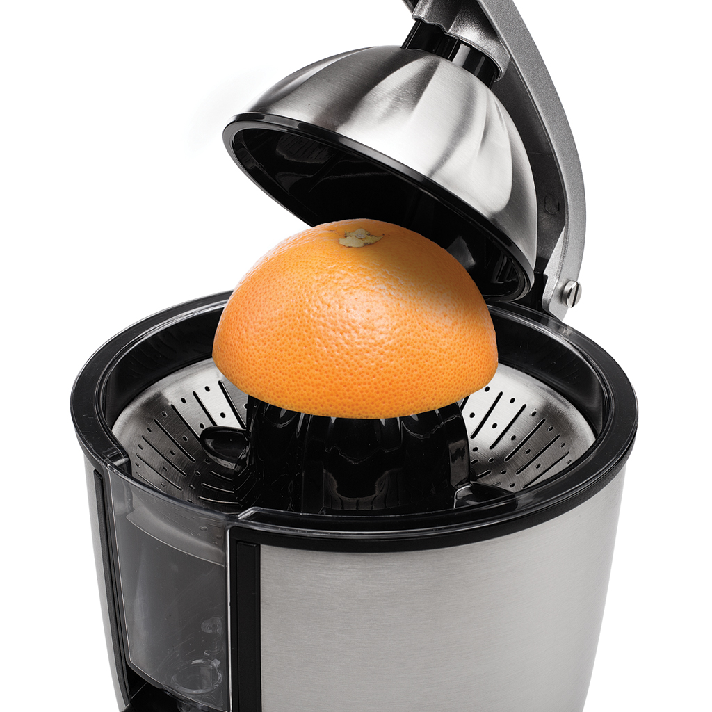 PRINCESS Citruspers Champion (201852)