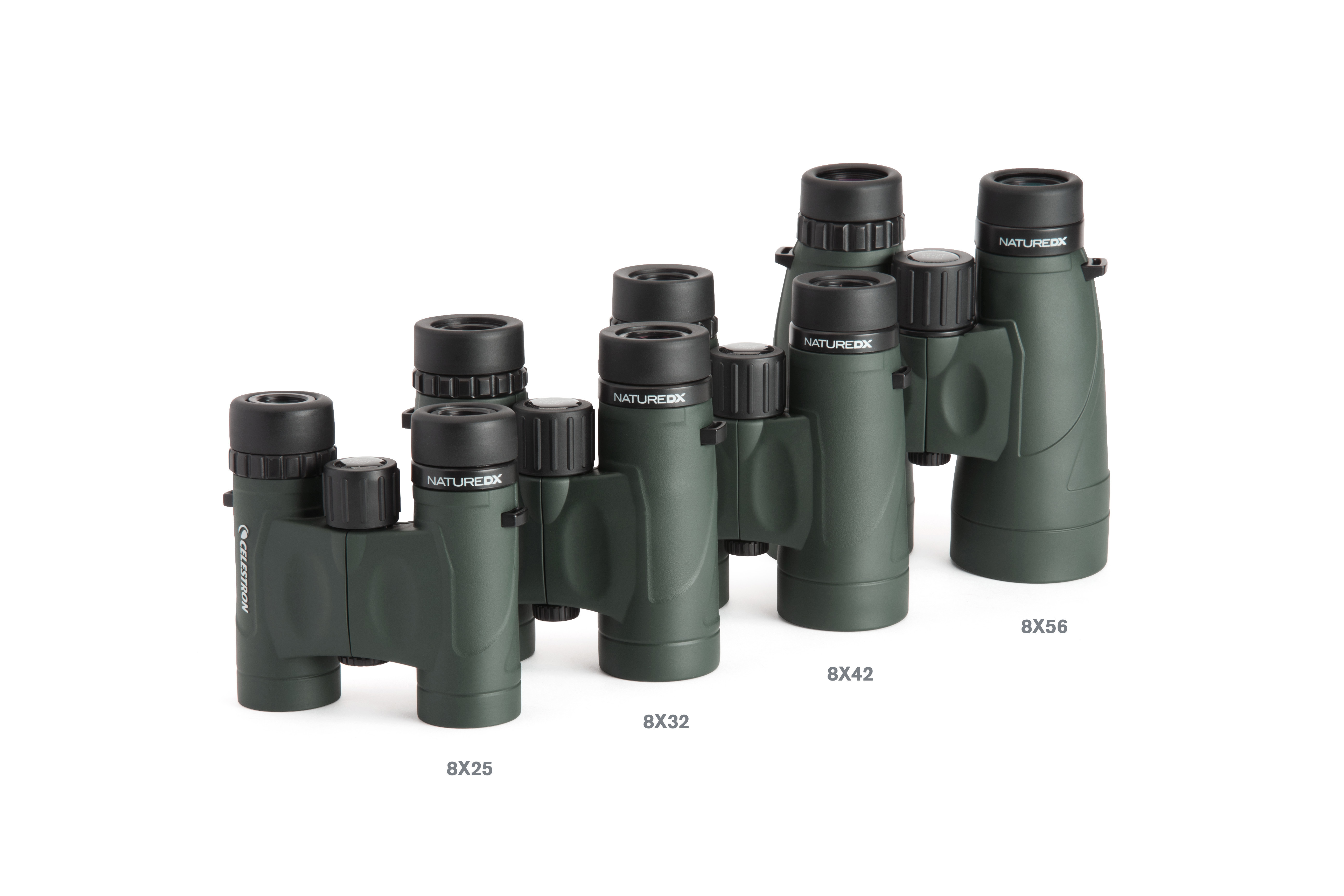 CELESTRON 824281 Nature DX 10x, 25 mm, Fernglas