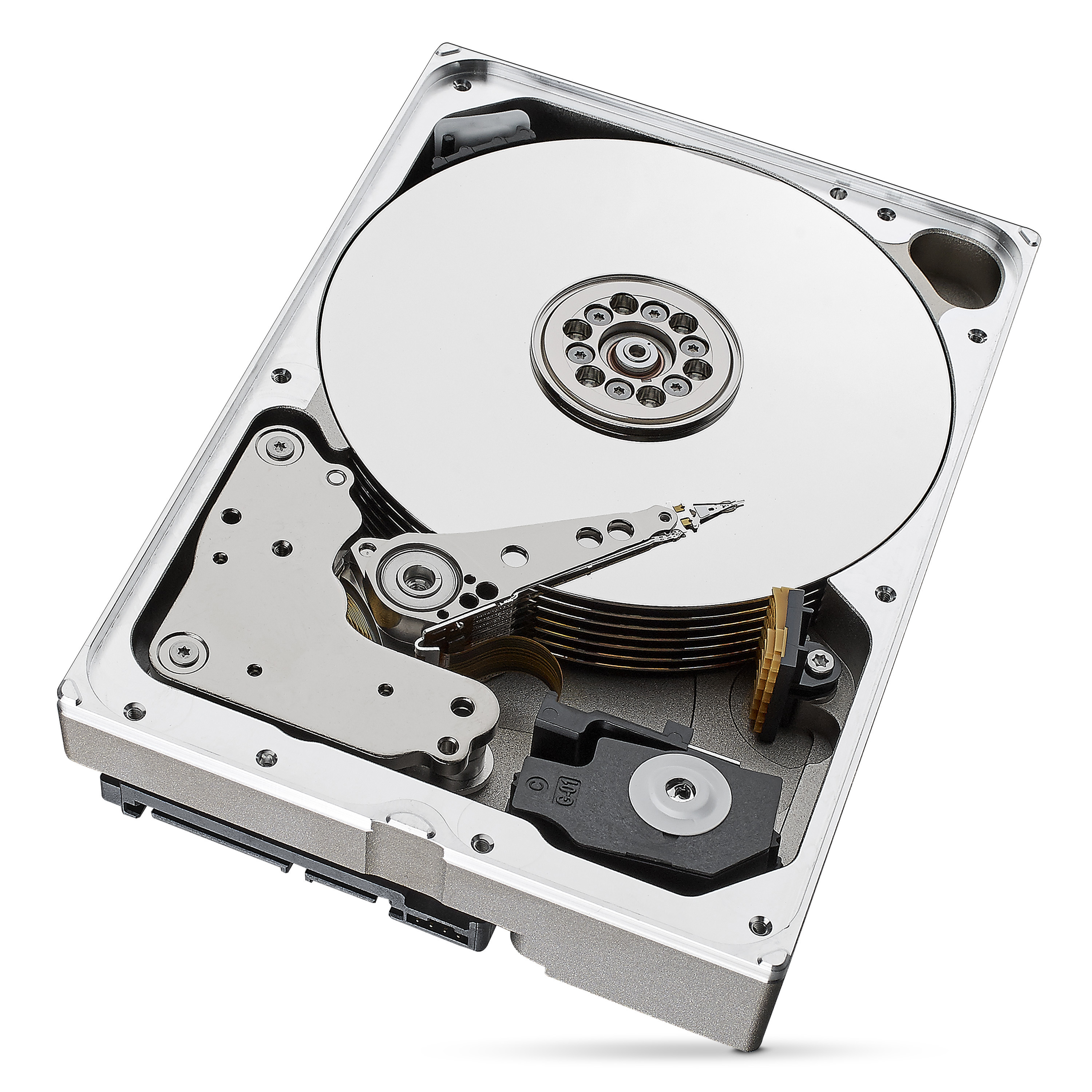 SEAGATE Ironwolf BULK Festplatte, 10 TB HDD, 3,5 Zoll, intern