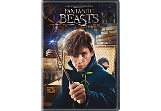 Fantastic Beasts And Where To Find Them | DVD