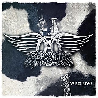 Aerosmith - WILD LIVE | CD