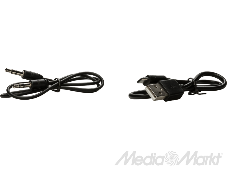 ION Plunge vezeték nélküli hangszóró, fekete