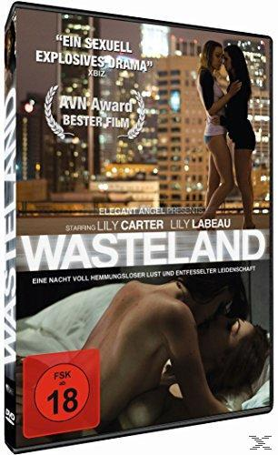 DVD-Cover von 'Wasteland', mit einem sich umarmenden Paar. Dunkler Stadt-Hintergrund.