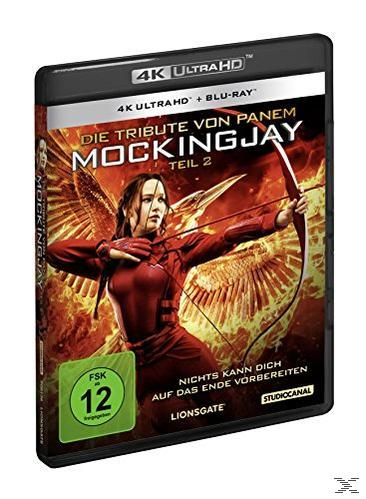 DVD-Cover von Die Tribute von Panem. Eine Frau mit Pfeil und Bogen, mit einem Vogel in Flammen.