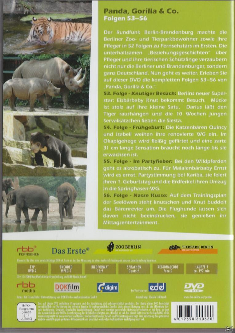 Panda, Gorilla & Co. Vol.6 (Folgen 53-56) DVD
