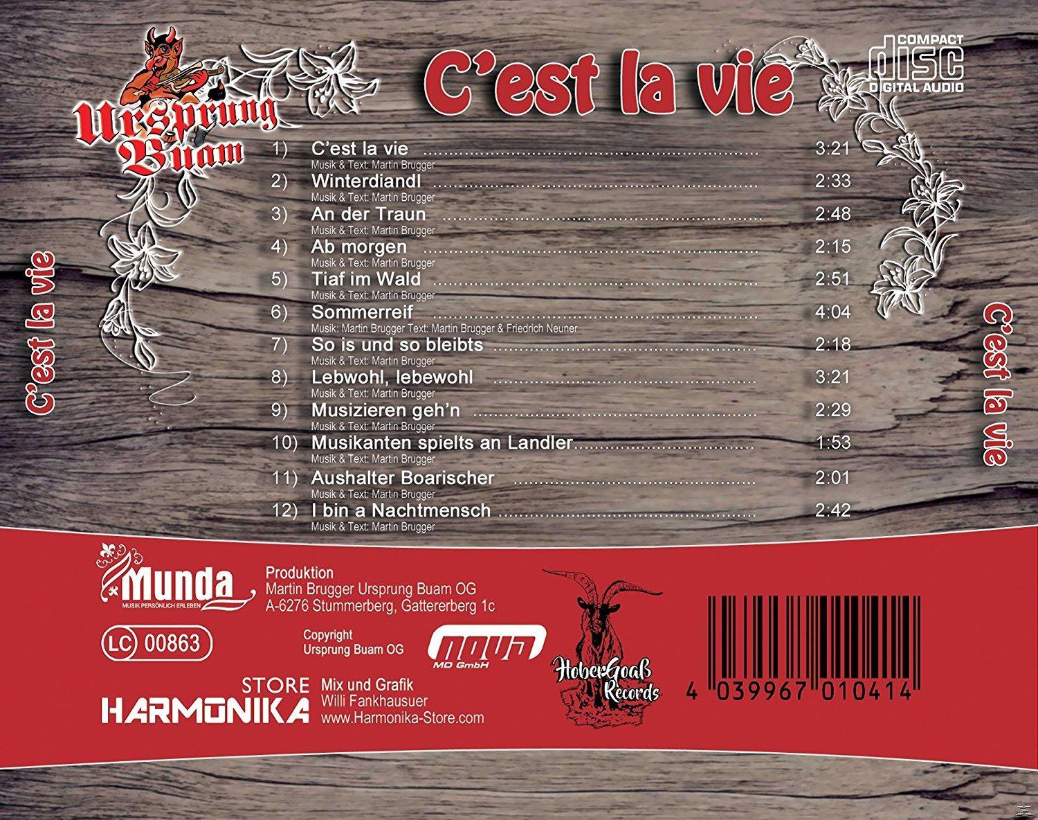 Rückseite des CD-Covers mit Titelliste, Künstlername und Logo. Braun und rot. Isoliert.