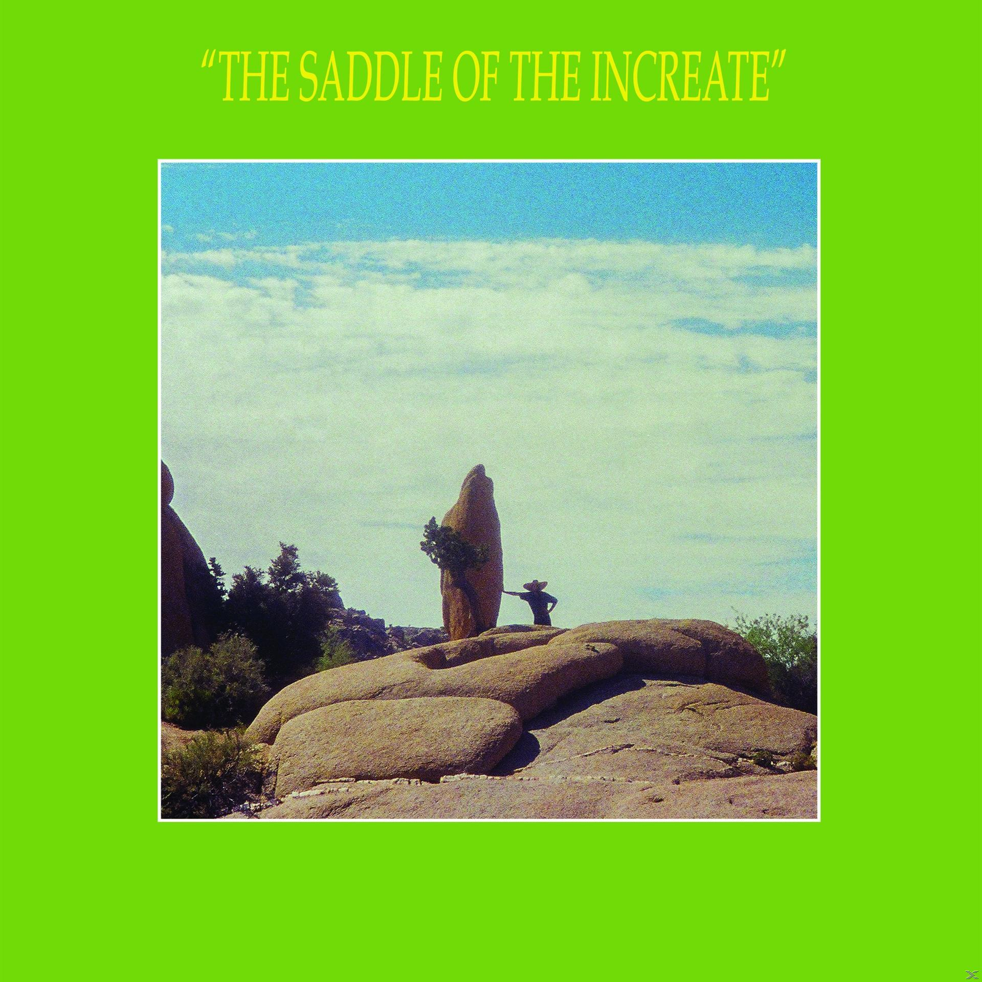 Sun Araw - The Saddle Of The Increate  - (CD)