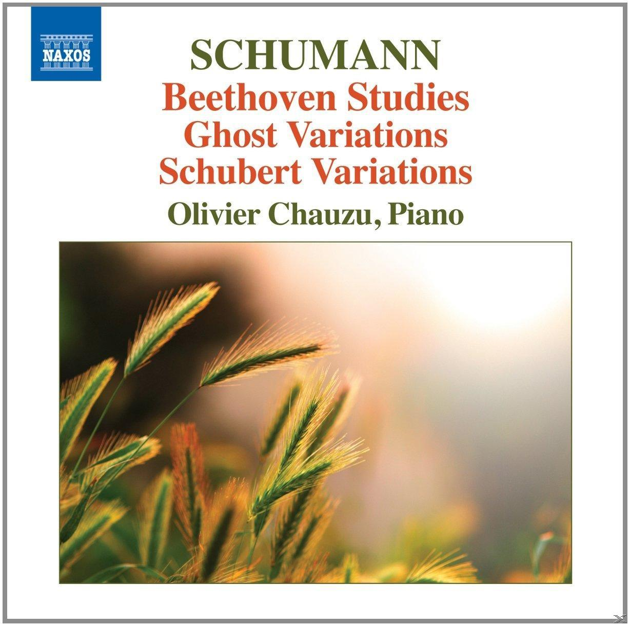Olivier Chauzu - Beethoven-Etüden/Geistervariationen/+  - (CD)