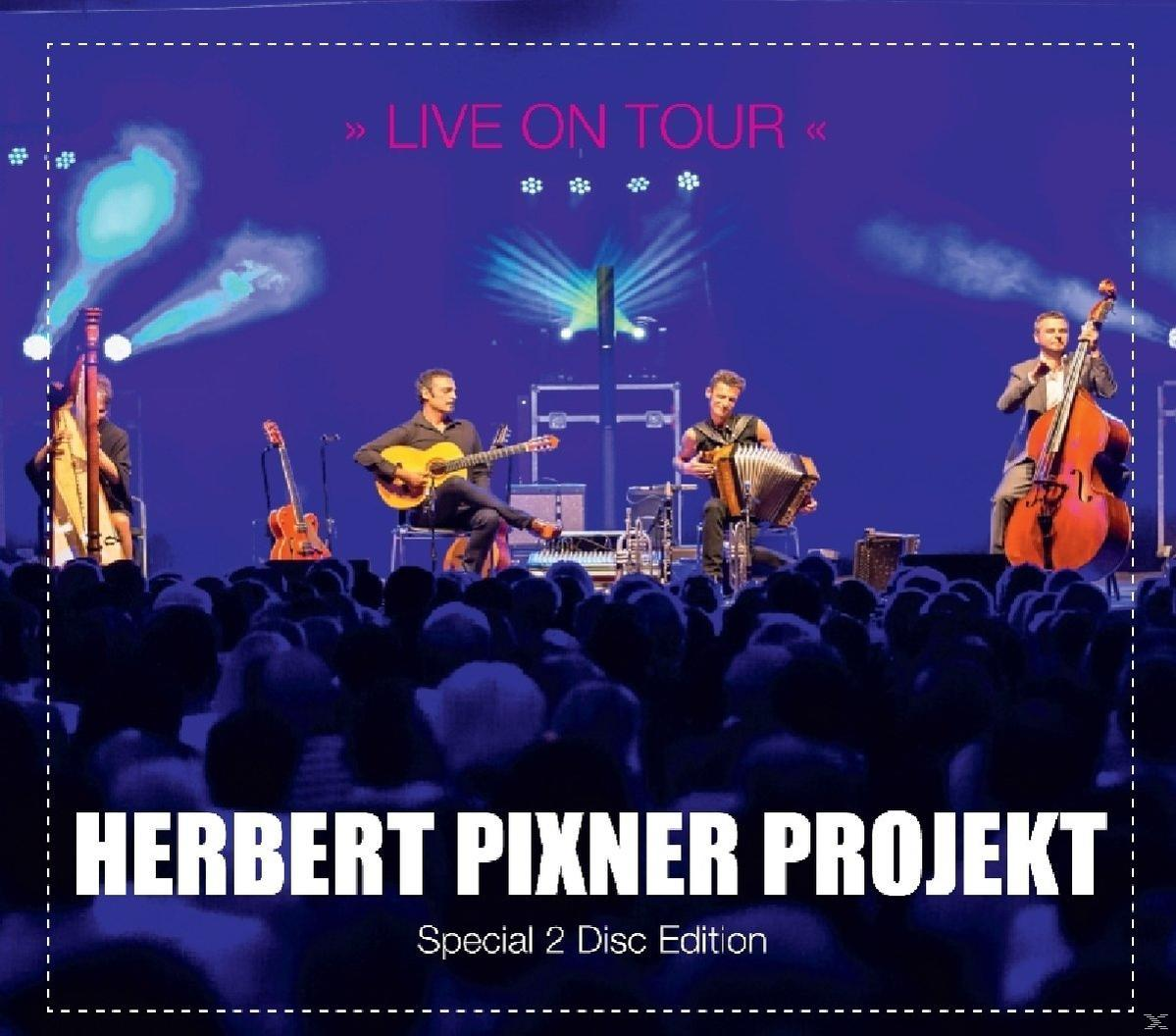 Eine Bühne mit Musikern. Die Band hat einen Bass, eine Gitarre, ein Akkordeon und einen Kontrabass.