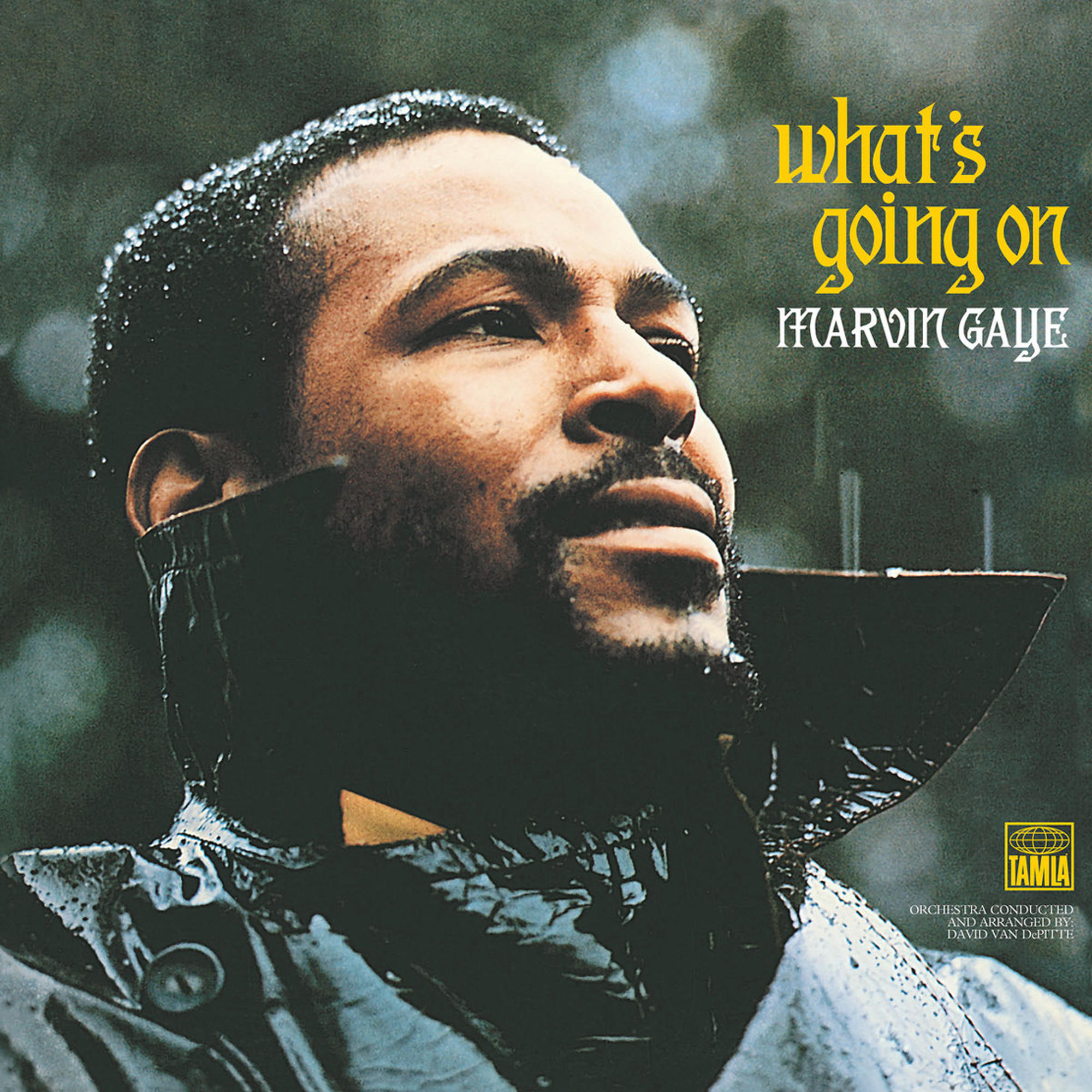 Pochette d'album : Marvin Gaye, portrait, manteau sombre, regardant vers le haut, effet pluie, fond noir.