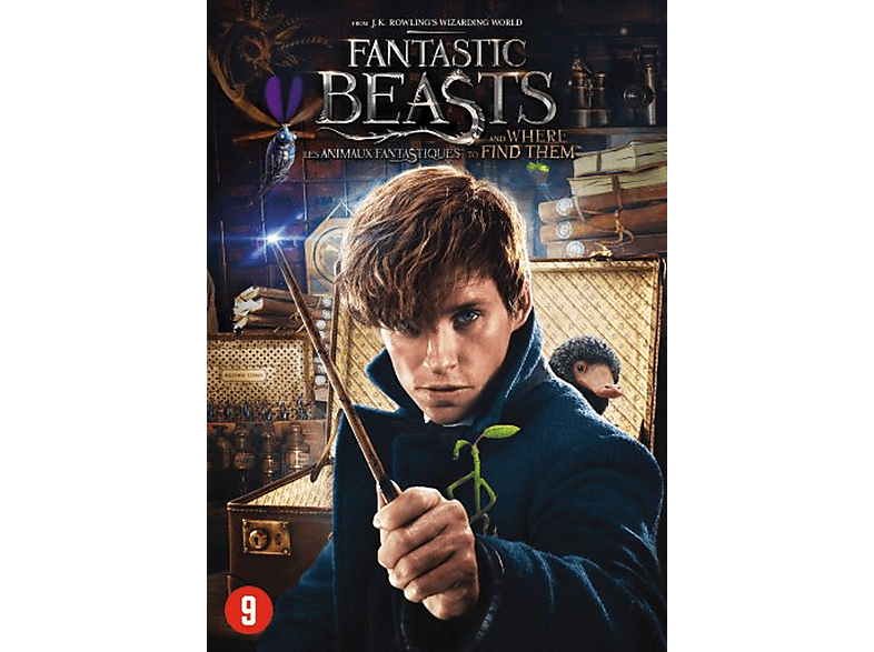 Fantastic Beasts and Where to Find Them - DVD