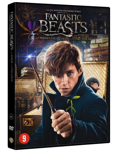 DVD-hoes voor 'Fantastic Beasts'. Met Eddie Redmayne, toverstaf en titeltekst.