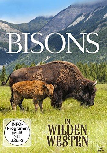 Bisons Im Wilden Westen DVD