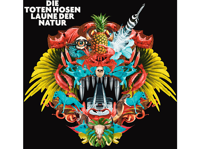 Learning English Lesson 2 Die Toten Hosen