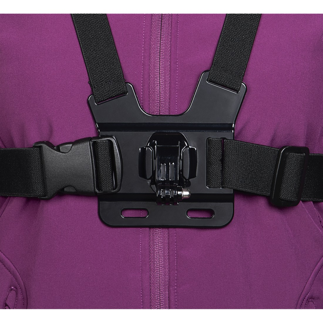 Chest strap with black straps and a black mount for a camera, on a purple jacket.