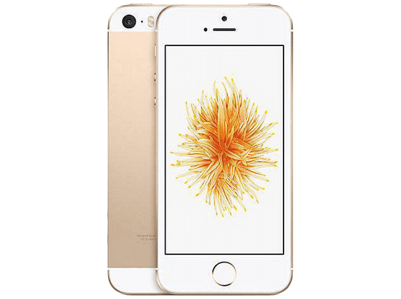 APPLE iPhone SE 32GB Gold Akıllı Telefon Apple Türkiye Garantili