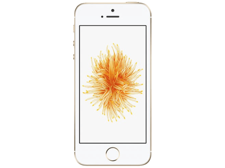 APPLE iPhone SE 32GB Gold Akıllı Telefon Apple Türkiye Garantili