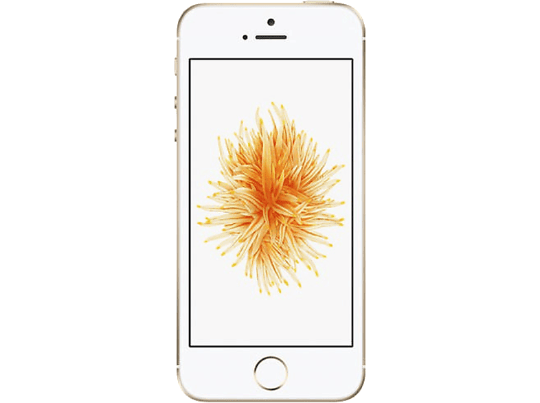 APPLE iPhone SE 32GB Gold Akıllı Telefon Apple Türkiye Garantili