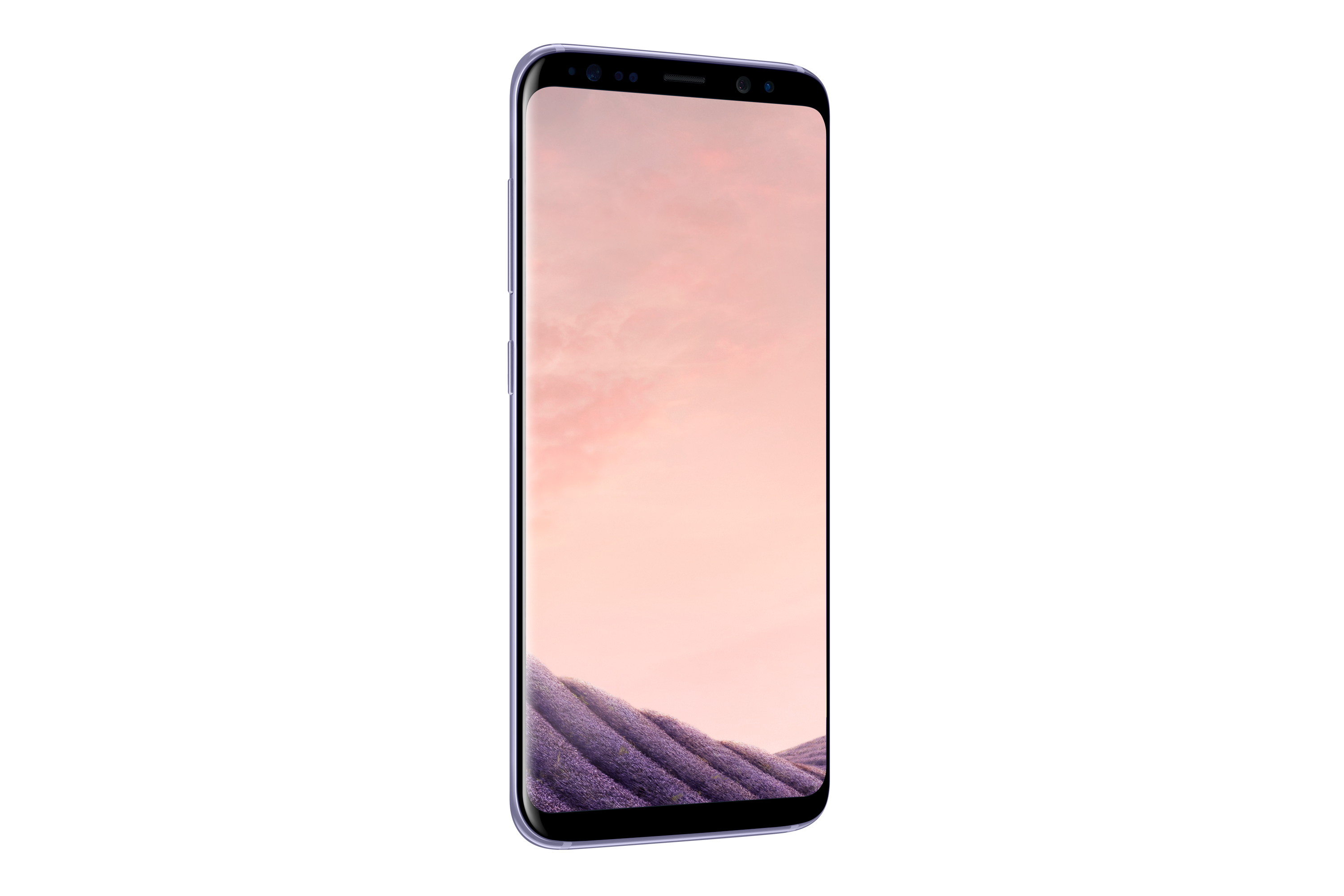 SAMSUNG Galaxy S8 Orchid Grey