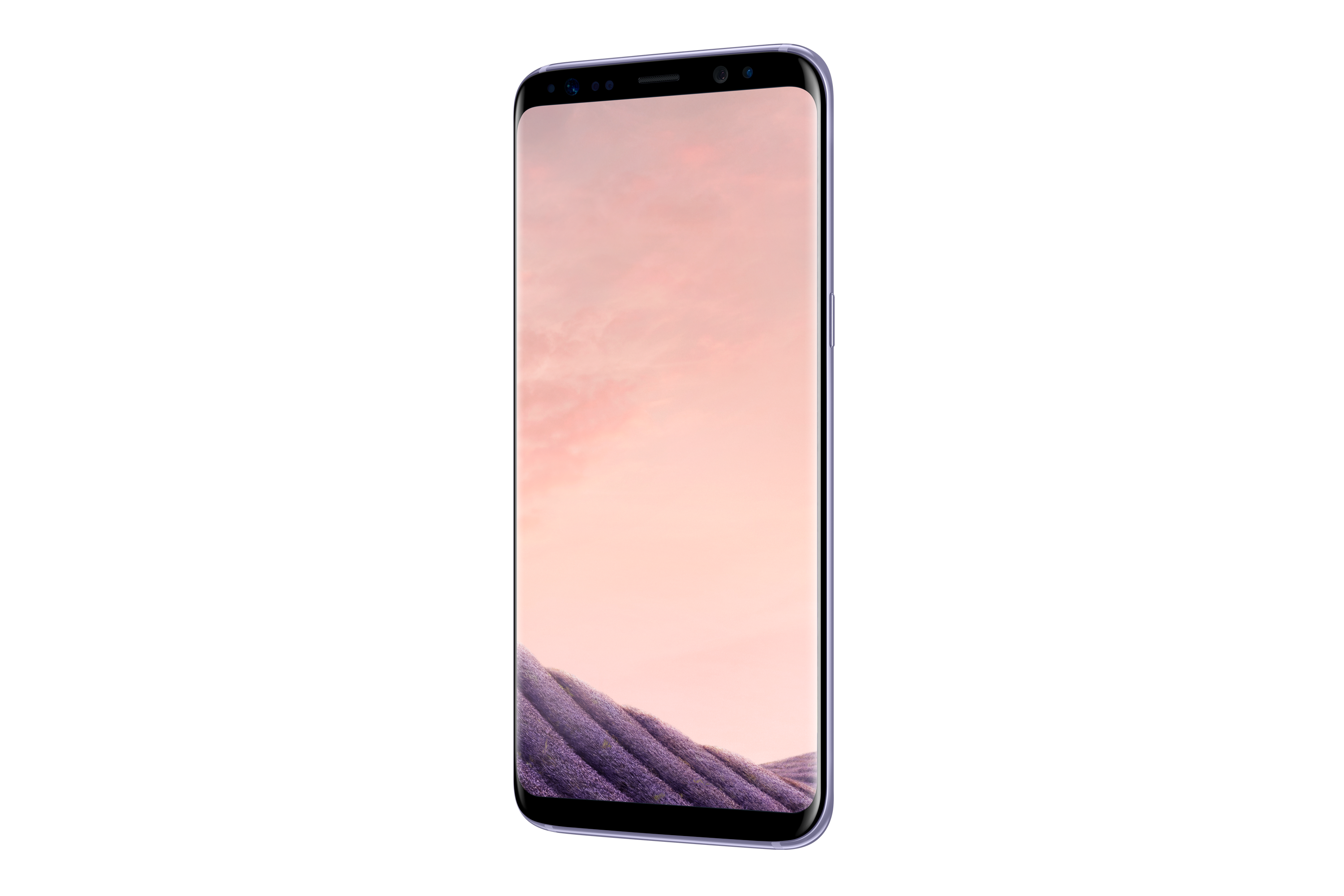 SAMSUNG Galaxy S8 Orchid Grey