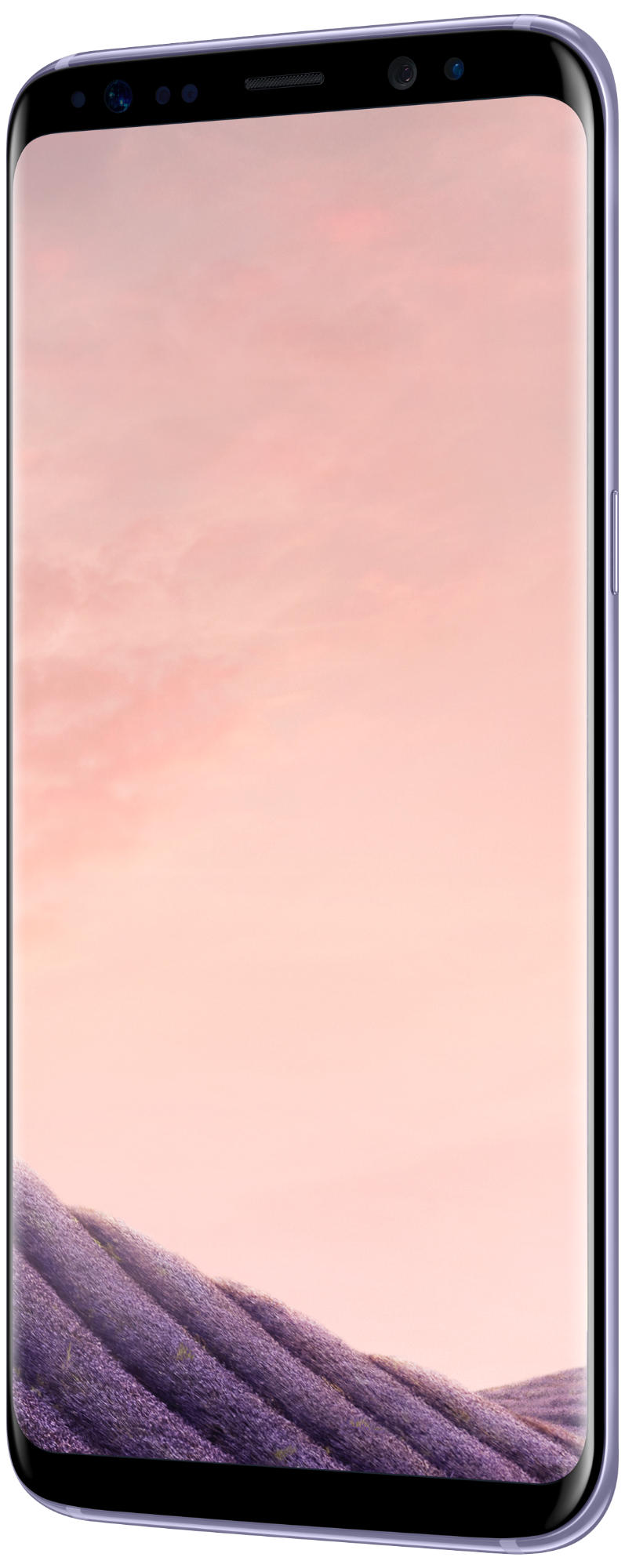 SAMSUNG Galaxy S8 Orchid Grey